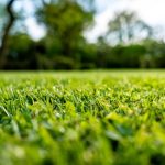 Service d'amenagement exterieur et de nivellemet de terrain Longueuil à Brossard / Amenagement Paysagiste Rive-Sud